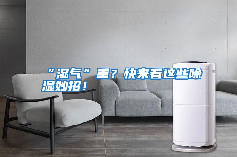 “濕氣”重？快來看這些除濕妙招！