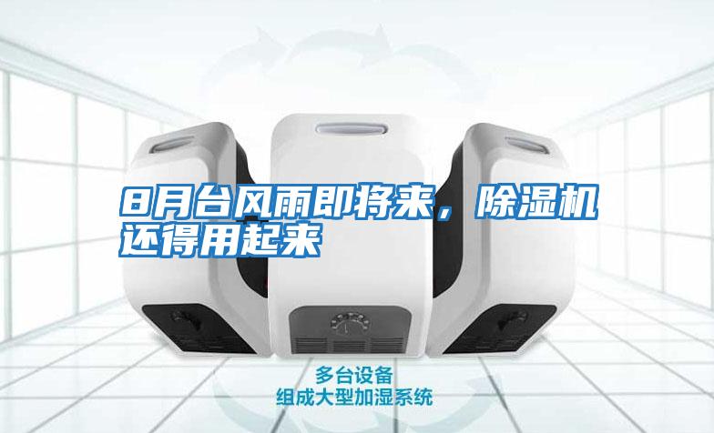 8月臺(tái)風(fēng)雨即將來,除濕機(jī)還得用起來
