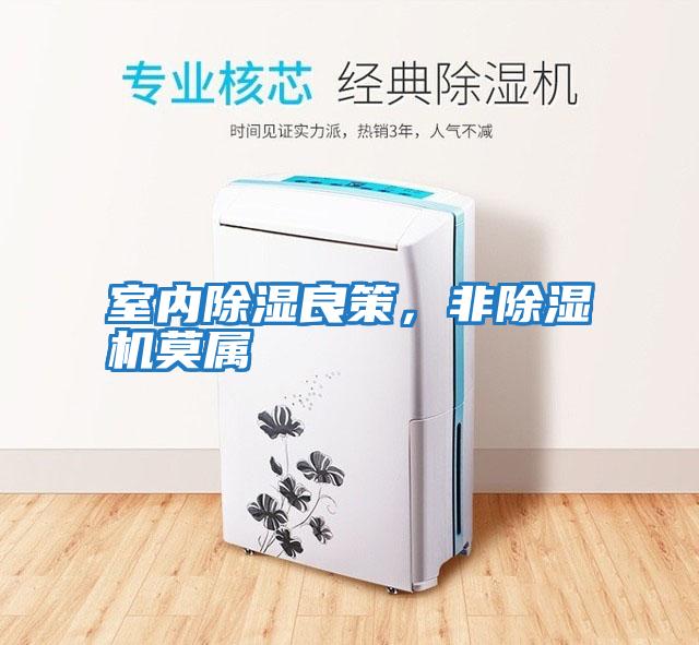 室內(nèi)除濕良策,非除濕機(jī)莫屬