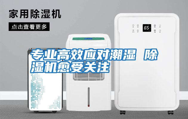 專業高效應對潮濕 除濕機愈受關注