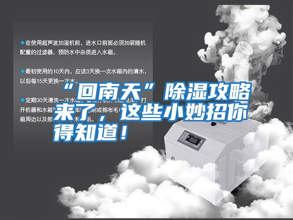 “回南天”除濕攻略來了,這些小妙招你得知道!