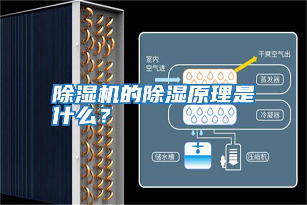 除濕機的除濕原理是什么?