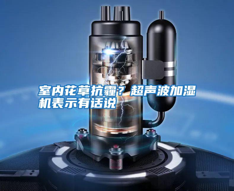 室內花草抗霾？超聲波加濕機表示有話說