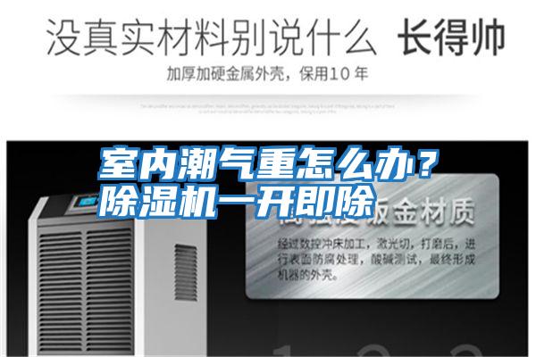 室內(nèi)潮氣重怎么辦？除濕機(jī)一開(kāi)即除