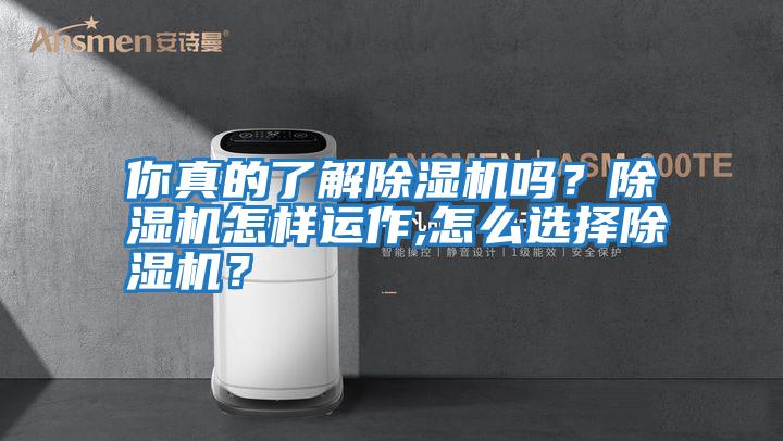 你真的了解除濕機嗎？除濕機怎樣運作,怎么選擇除濕機？