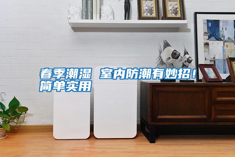 春季潮濕 室內防潮有妙招！簡單實用