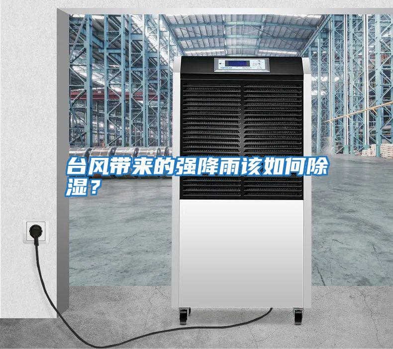 臺風帶來的強降雨該如何除濕？