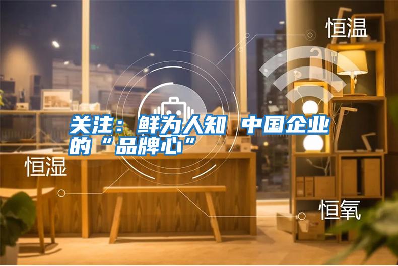 關注:鮮為人知 中國企業的“品牌心”
