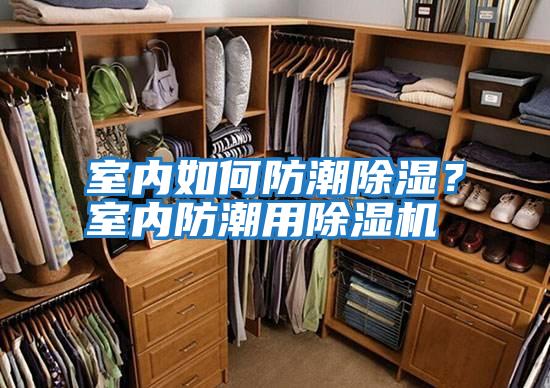 室內如何防潮除濕？室內防潮用除濕機