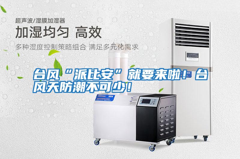 臺風“派比安”就要來啦！臺風天防潮不可少！