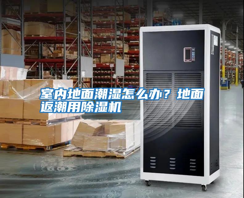 室內地面潮濕怎么辦？地面返潮用除濕機
