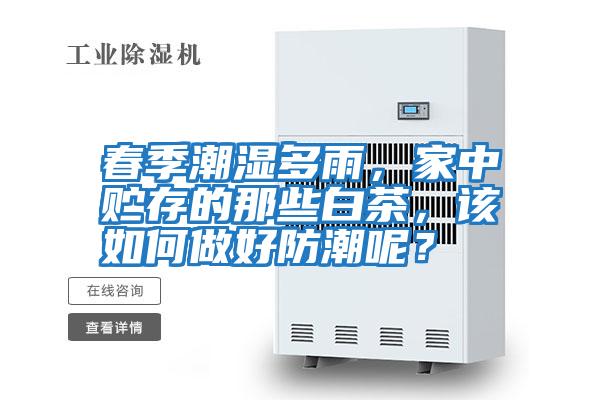春季潮濕多雨，家中貯存的那些白茶，該如何做好防潮呢？