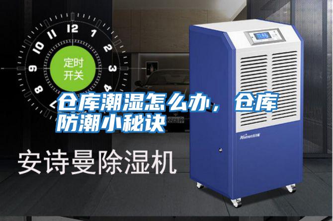 倉庫潮濕怎么辦,倉庫防潮小秘訣