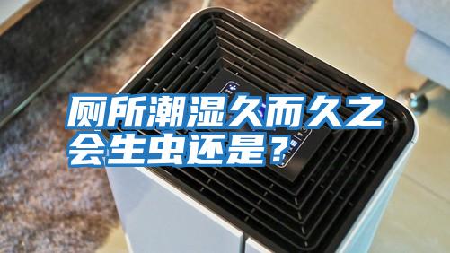 廁所潮濕久而久之會生蟲還是?