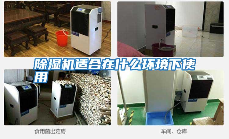 除濕機適合在什么環境下使用