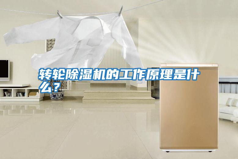 轉輪除濕機的工作原理是什么？
