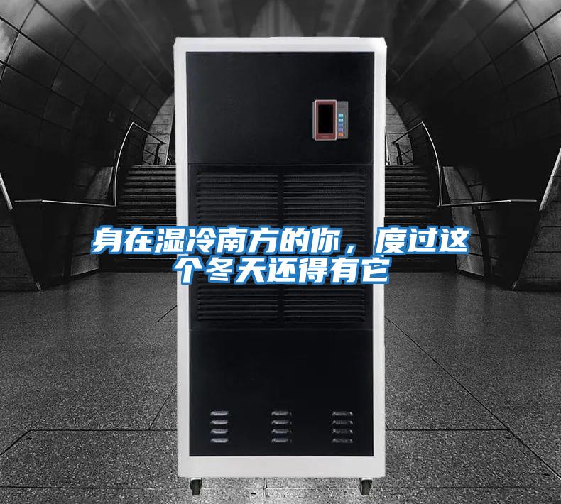 身在濕冷南方的你，度過這個冬天還得有它