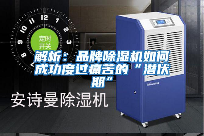 解析:品牌除濕機(jī)如何成功度過痛苦的“潛伏期”