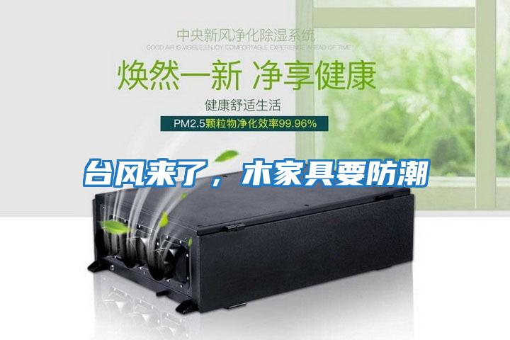 臺(tái)風(fēng)來了，木家具要防潮