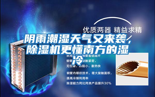 陰雨潮濕天氣又來襲，除濕機更懂南方的濕冷