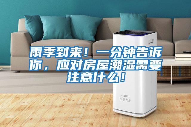 雨季到來！一分鐘告訴你，應對房屋潮濕需要注意什么！