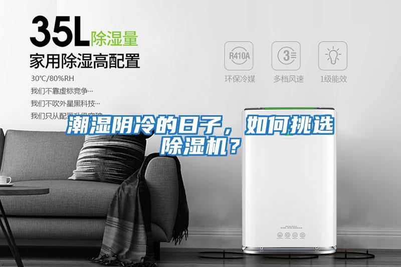 潮濕陰冷的日子，如何挑選除濕機(jī)？