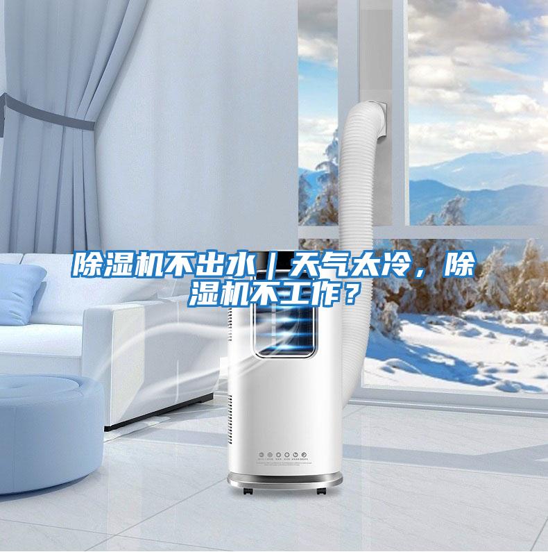 除濕機不出水｜天氣太冷，除濕機不工作？