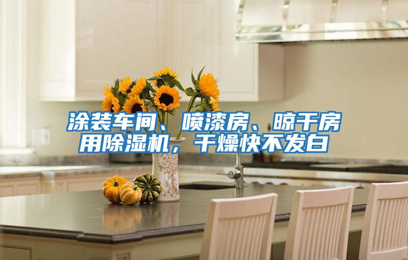 涂裝車間、噴漆房、晾干房用除濕機(jī),干燥快不發(fā)白