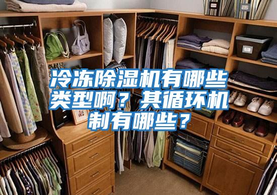 冷凍除濕機有哪些類型?。科溲h(huán)機制有哪些？