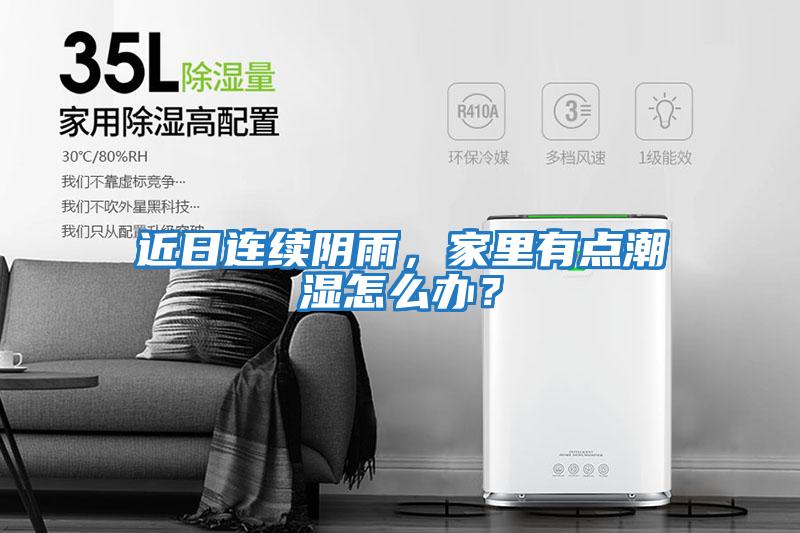 近日連續陰雨，家里有點潮濕怎么辦？