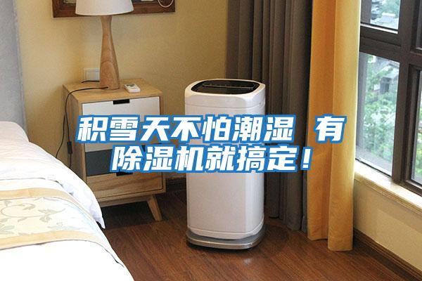 積雪天不怕潮濕 有除濕機就搞定！