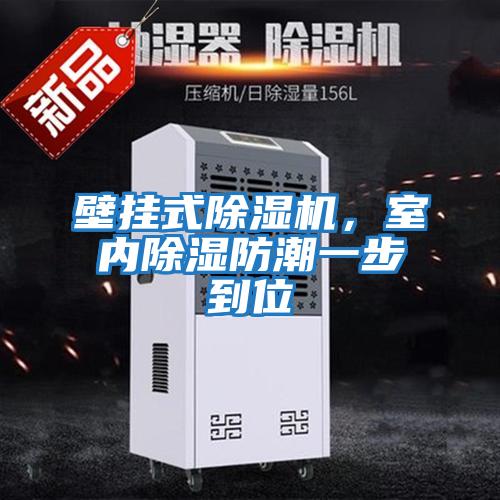 壁掛式除濕機(jī),室內(nèi)除濕防潮一步到位