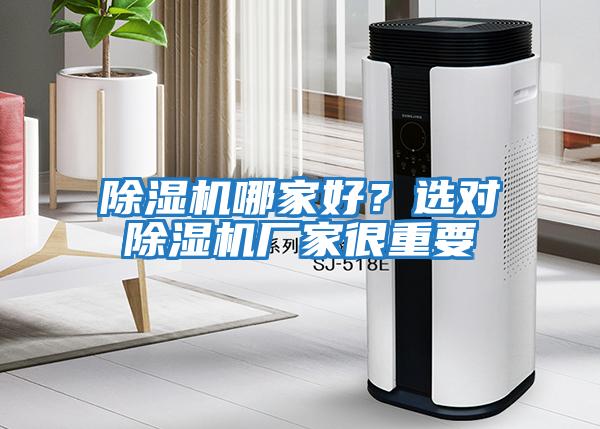 除濕機哪家好？選對除濕機廠家很重要