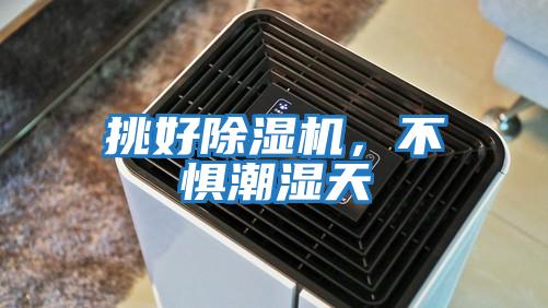 挑好除濕機，不懼潮濕天