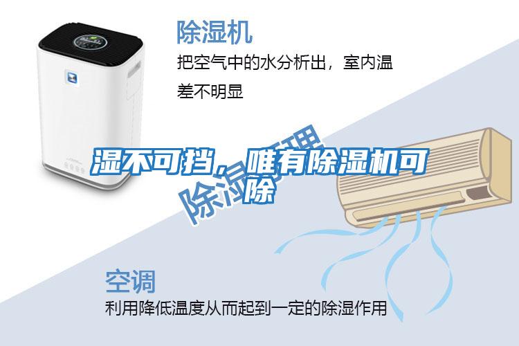 濕不可擋，唯有除濕機可除