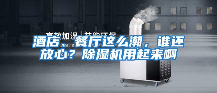 酒店、餐廳這么潮，誰還放心？除濕機用起來啊