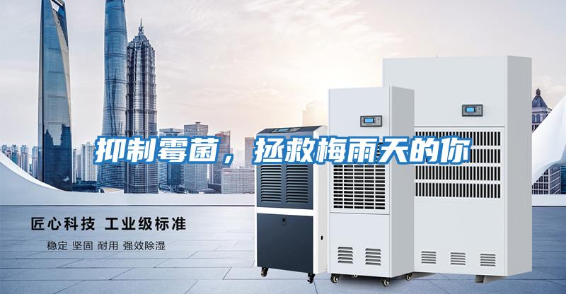 抑制霉菌,拯救梅雨天的你