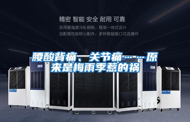 腰酸背痛、關節痛……原來是梅雨季惹的禍