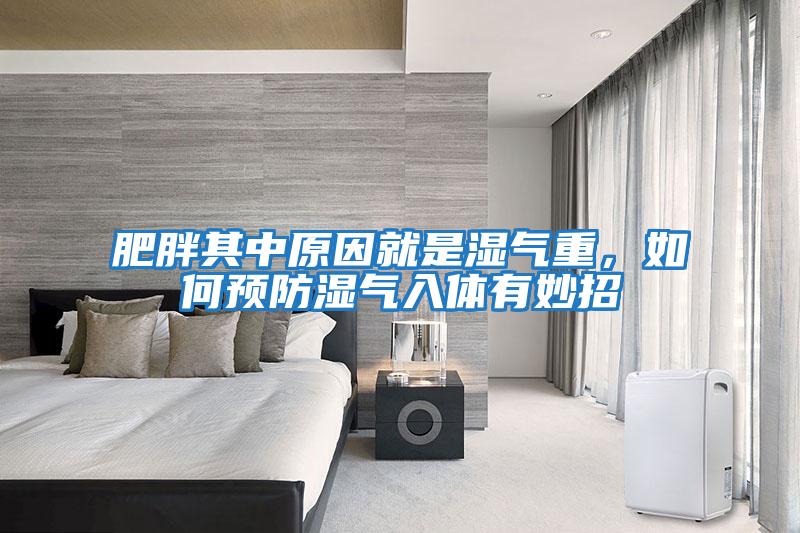 肥胖其中原因就是濕氣重，如何預防濕氣入體有妙招