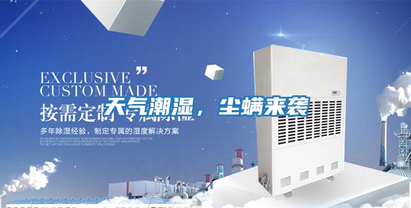 天氣潮濕，塵螨來襲