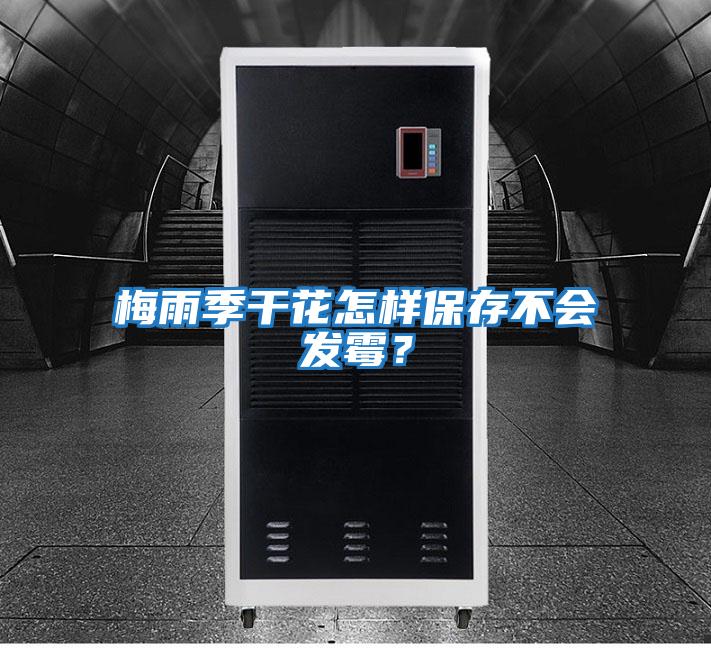 梅雨季干花怎樣保存不會發霉？