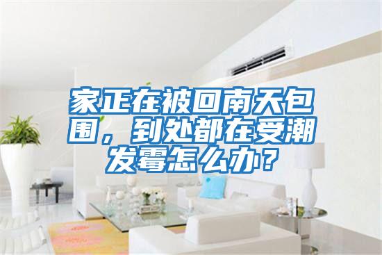 家正在被回南天包圍，到處都在受潮發霉怎么辦？