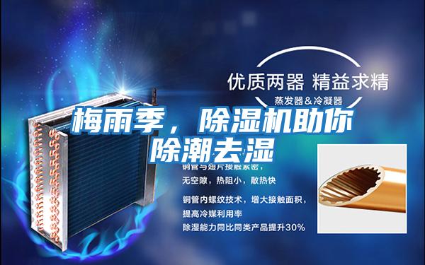 梅雨季，除濕機助你除潮去濕