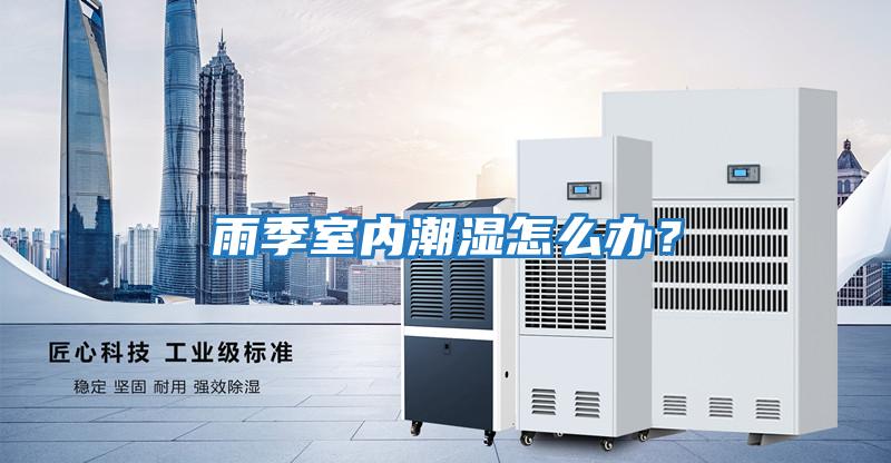 雨季室內潮濕怎么辦?