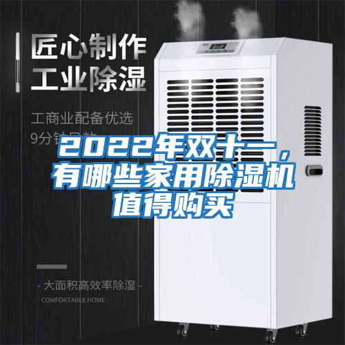 2022年雙十一，有哪些家用除濕機值得購買