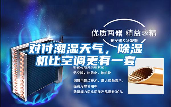 對(duì)付潮濕天氣，除濕機(jī)比空調(diào)更有一套