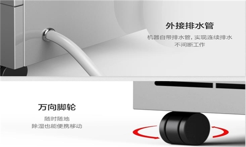 梅雨季節(jié)買什么鮮花比較好保存？