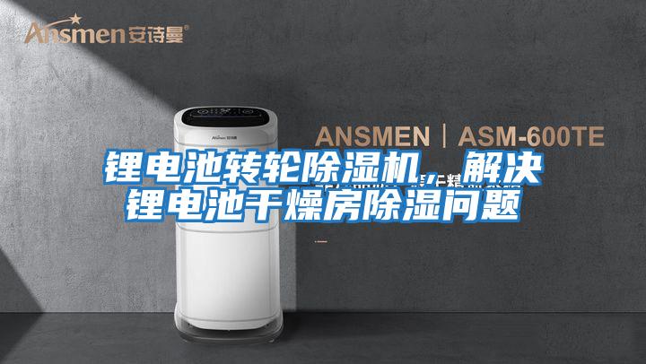 鋰電池轉輪除濕機,解決鋰電池干燥房除濕問題