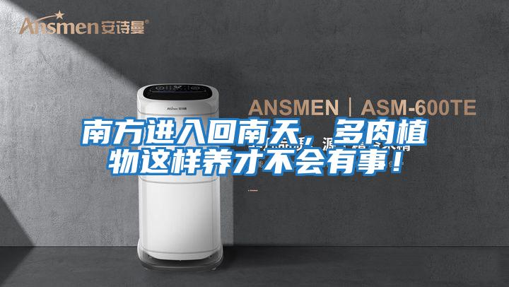 南方進(jìn)入回南天,多肉植物這樣養(yǎng)才不會有事!