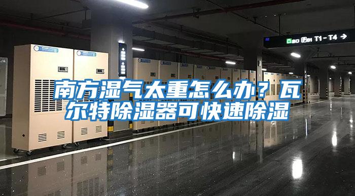 南方濕氣太重怎么辦？瓦爾特除濕器可快速除濕